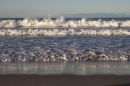 Surf's Up at Pambula * 2160 x 1440 * (681KB)